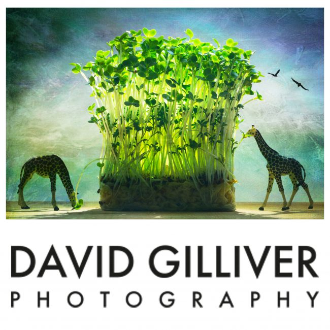 David Gilliver