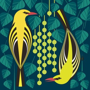 I LIKE BIRDS